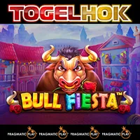 Bull Fiesta